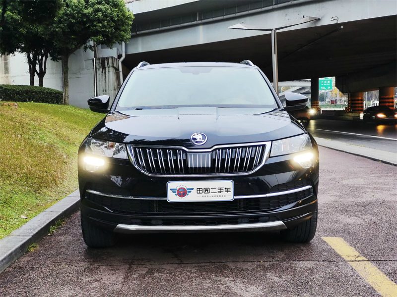 Skoda Koleos - 图片 12