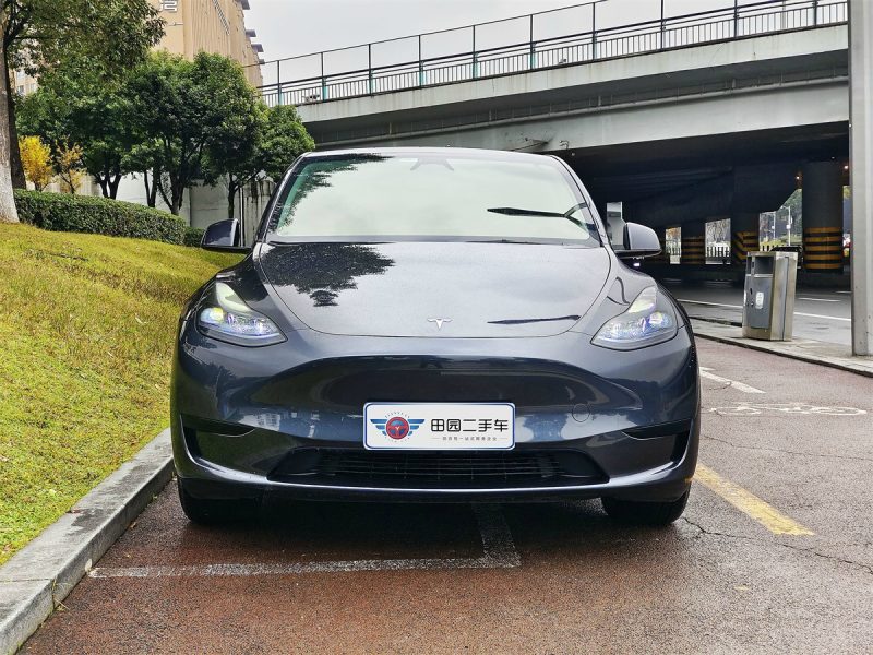 Tesla Model Y - 图片 12