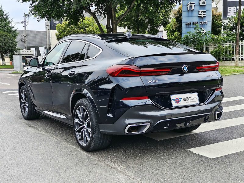 BMW X6 - 图片 19