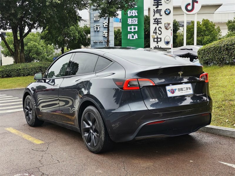 Tesla Model Y - 图片 16