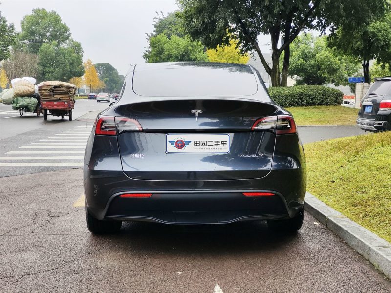 Tesla Model Y - 图片 17